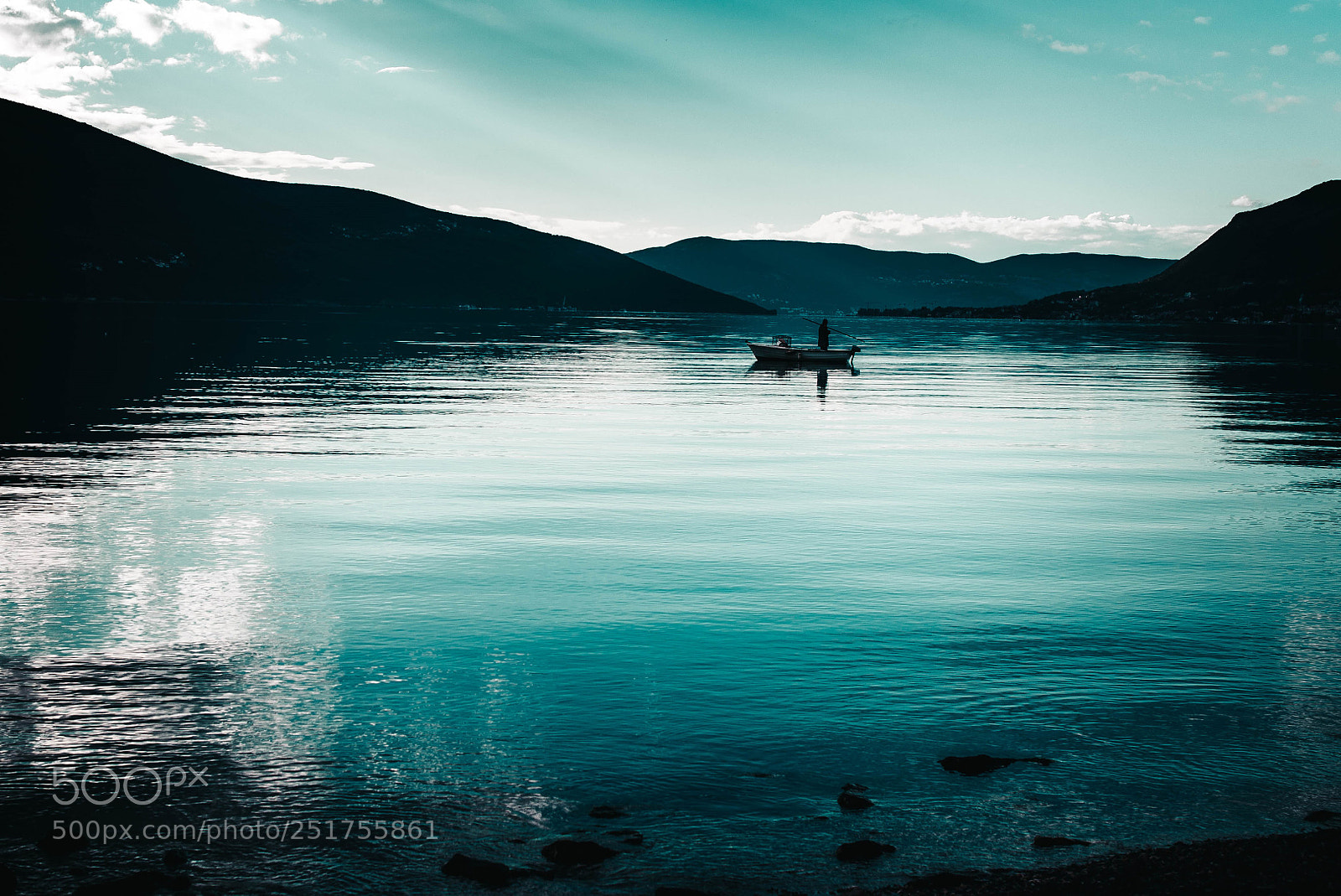 Nikon D610 sample photo. Beautiful nature photography
