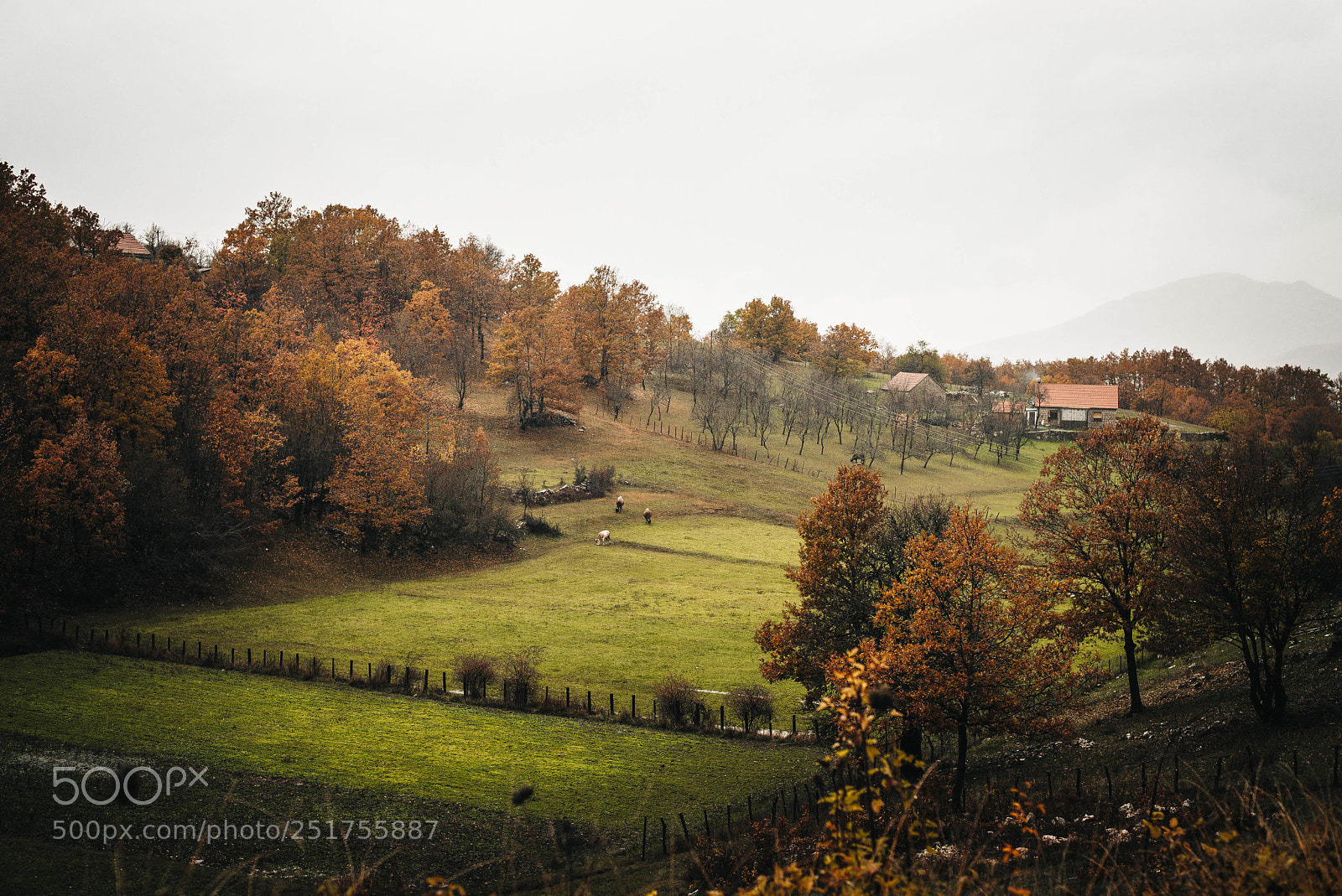 Nikon D610 sample photo. Beautiful nature photography