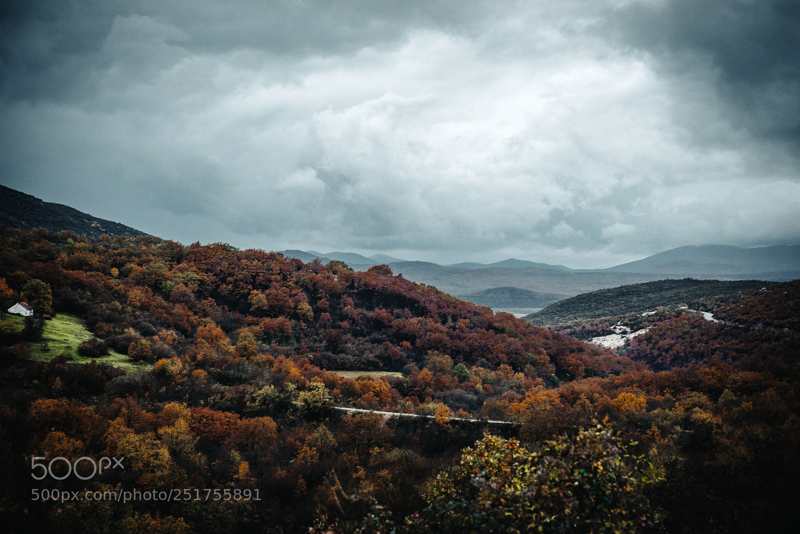 Nikon D610 sample photo. Beautiful nature photography