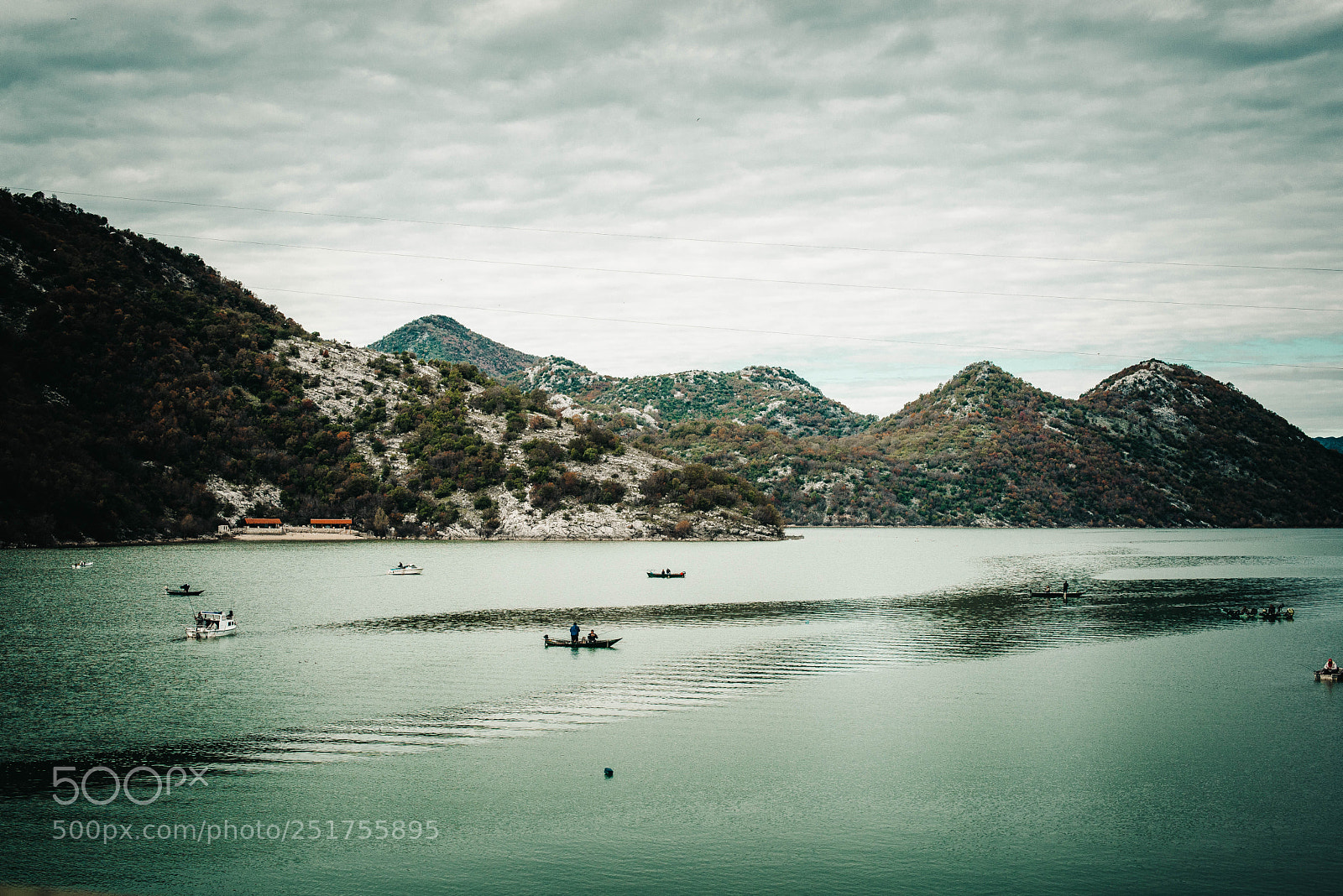 Nikon D610 sample photo. Beautiful nature photography