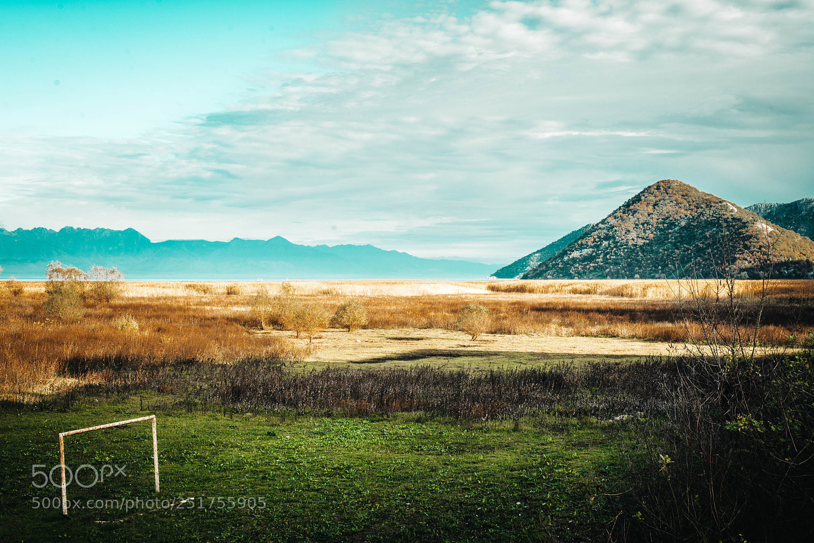 Nikon D610 sample photo. Beautiful nature photography