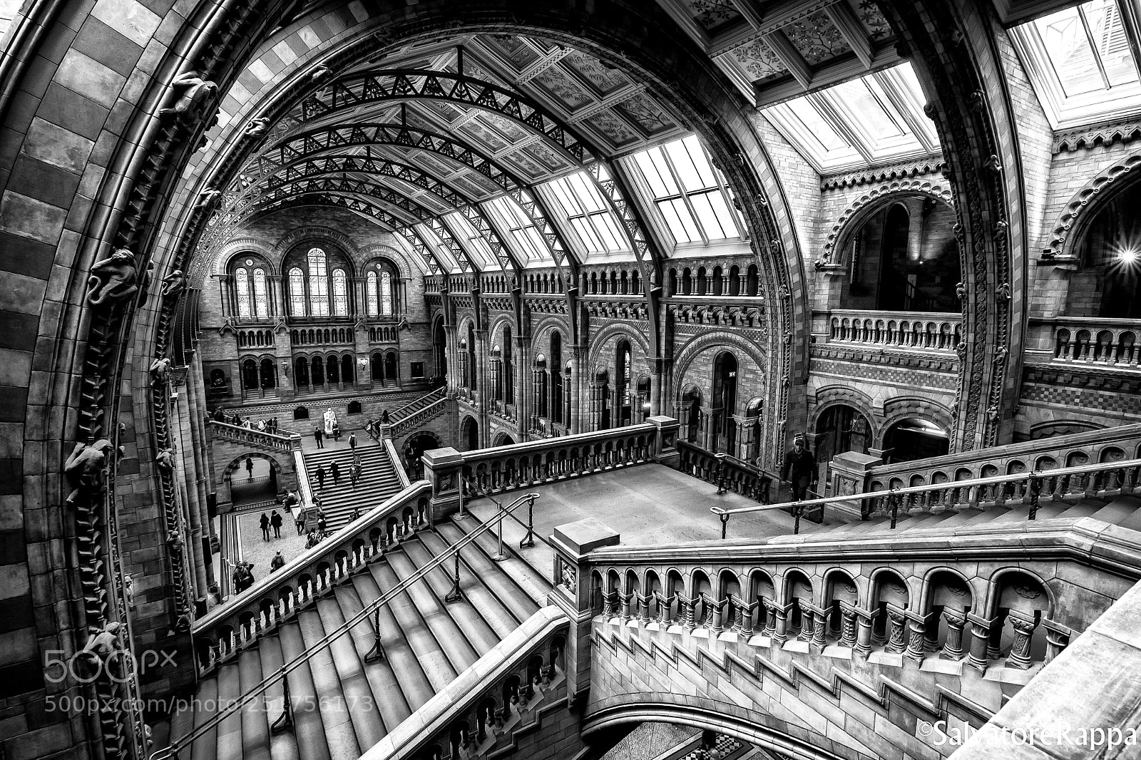 Nikon D7200 sample photo. Nhm photography