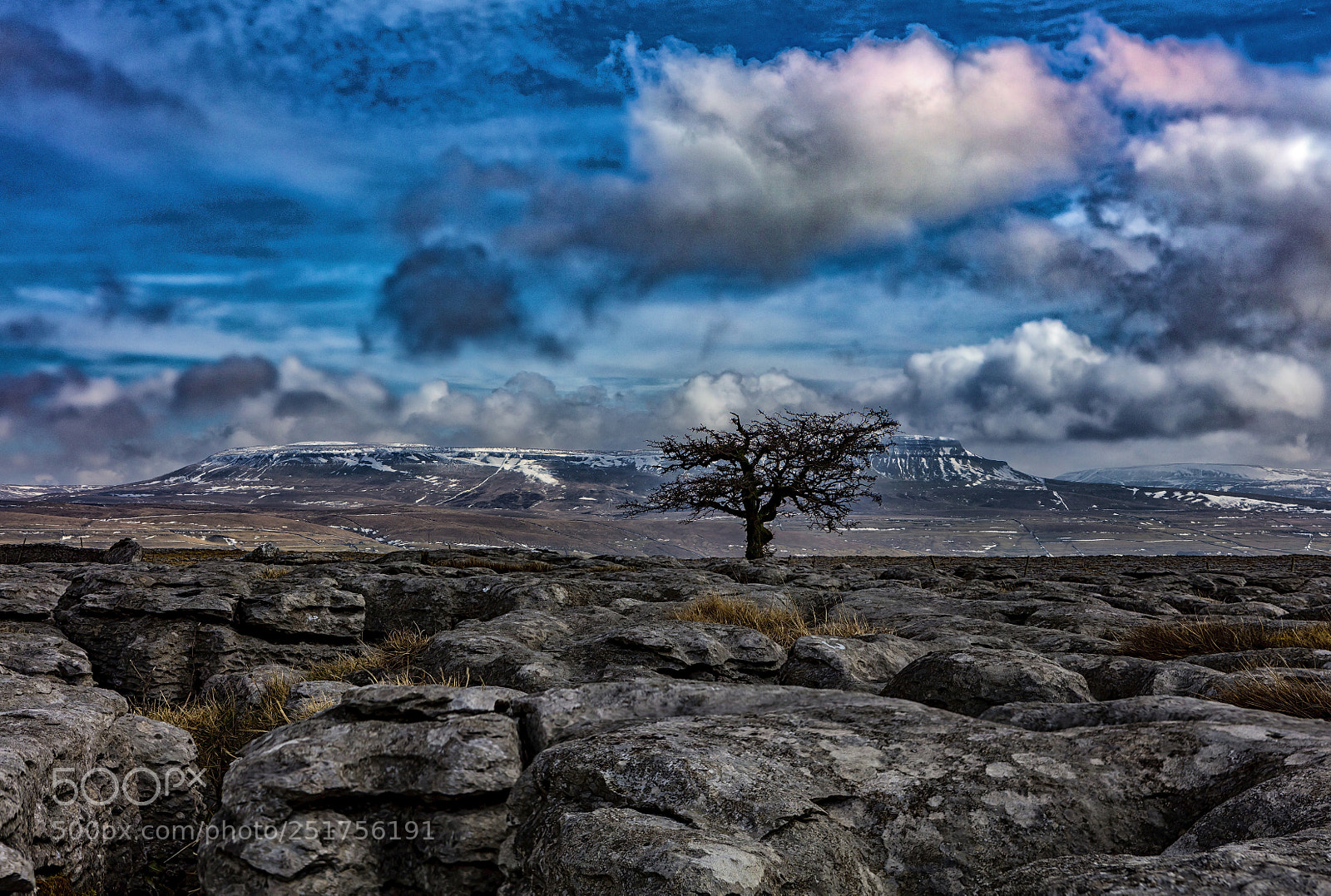 Canon EOS 5DS R sample photo. Yorkshire - god's own photography