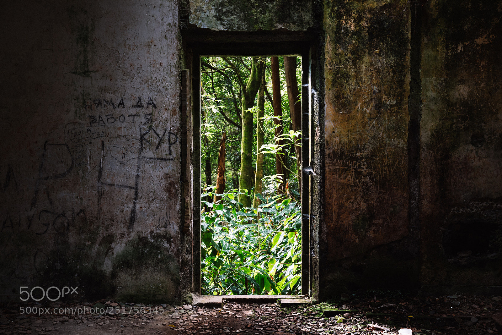 Canon EOS 5D Mark IV sample photo. Azores #5 photography