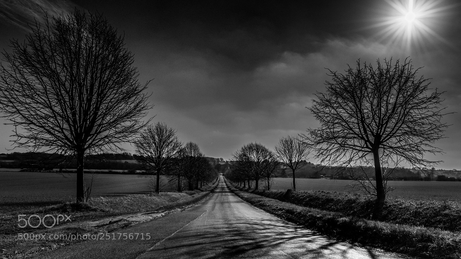 Nikon D5500 sample photo. Smallbridge entry road photography