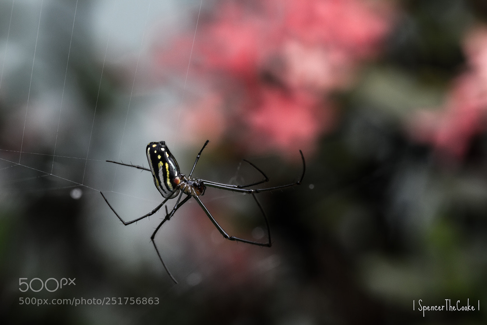 Canon EOS 7D sample photo. Hang on! photography