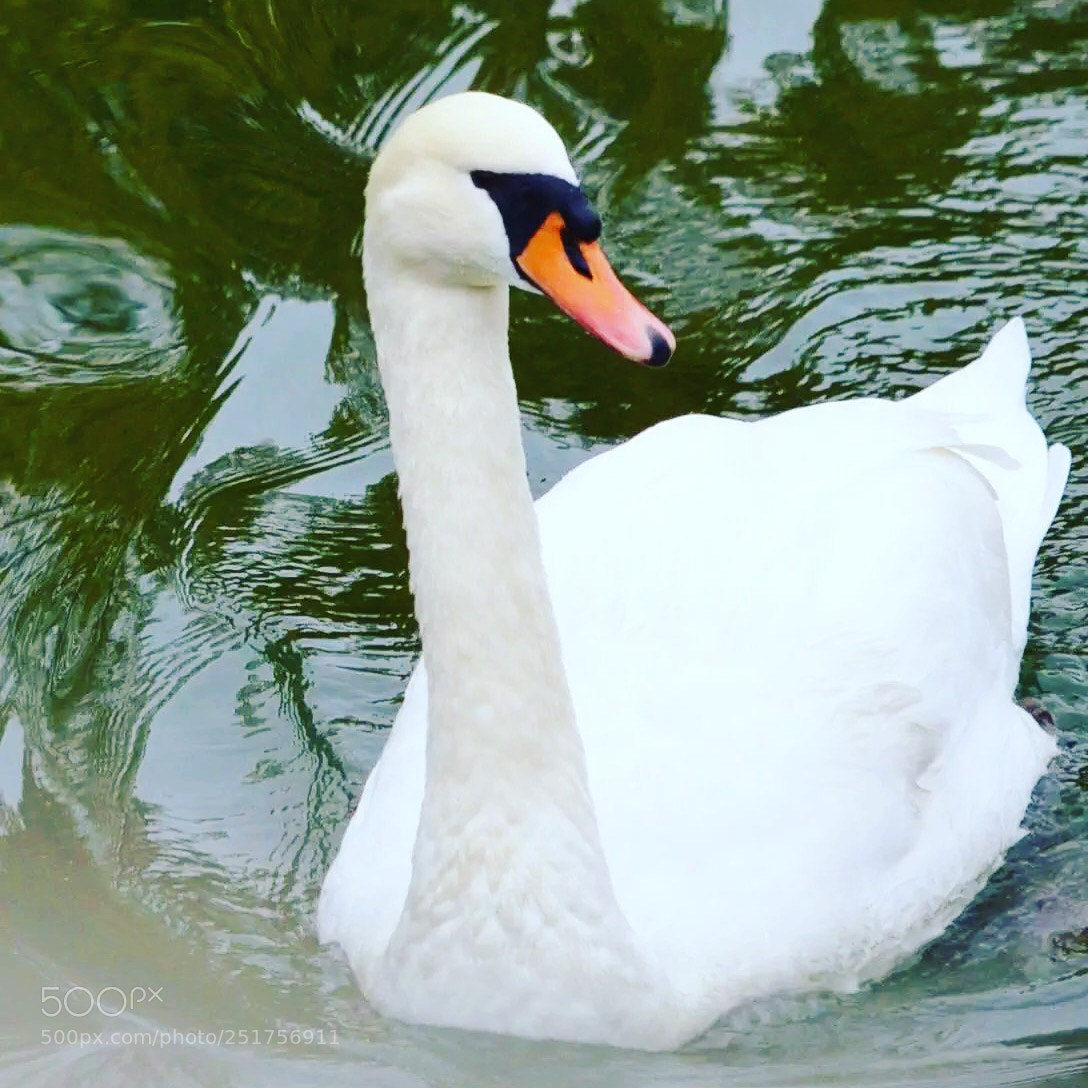 Nikon D5100 sample photo. Untitled photography