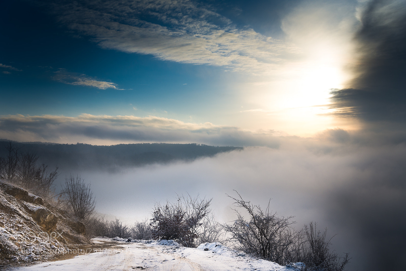 Nikon D610 sample photo. Another foggy morning . photography