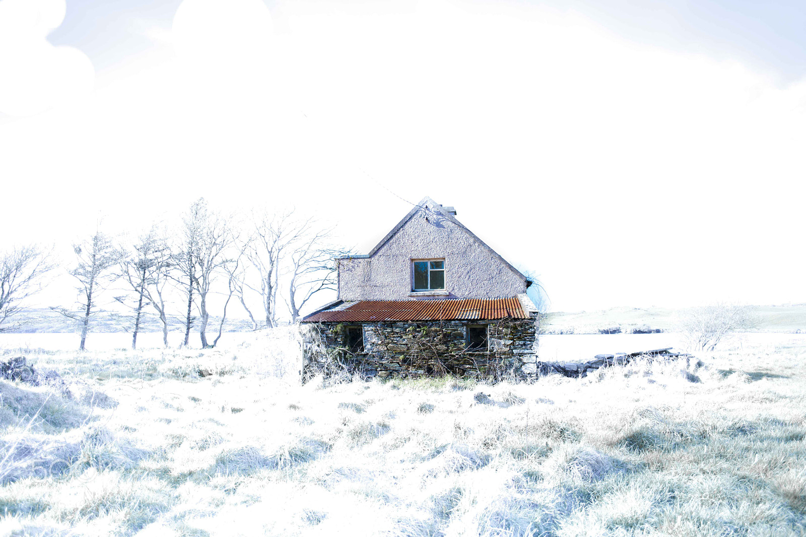 Canon EOS 5D Mark II sample photo. Strange photography