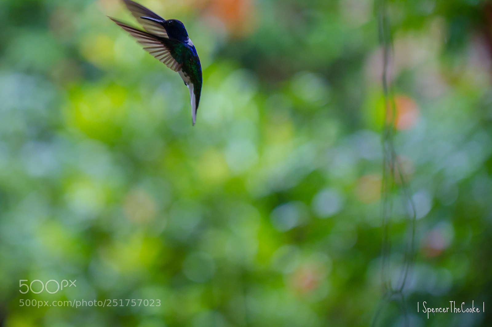 Canon EOS 7D sample photo. The pause photography