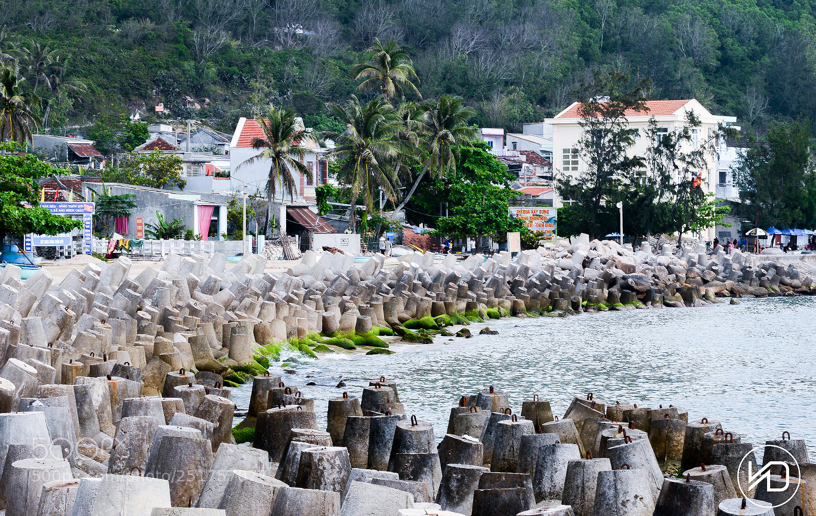 Nikon D800 sample photo. Bai da cu lao photography