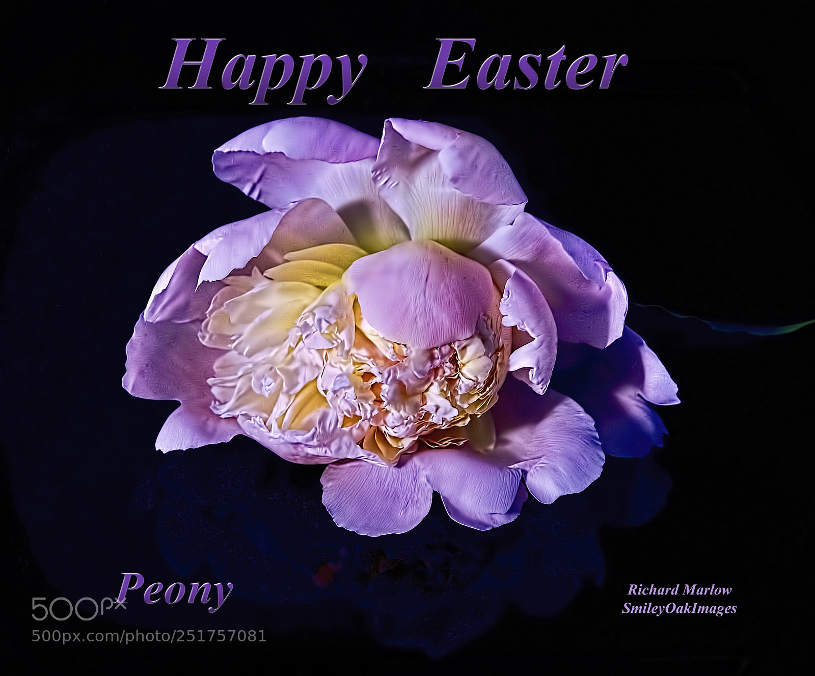 Nikon D5000 sample photo. Happy easter photography