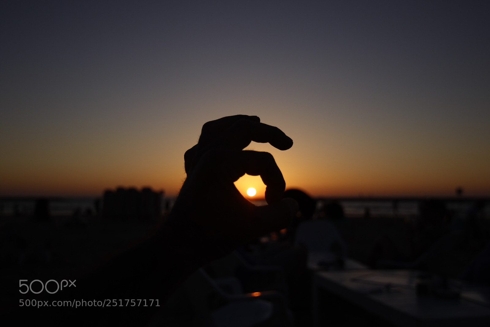 Canon EOS 80D sample photo. Untitled photography