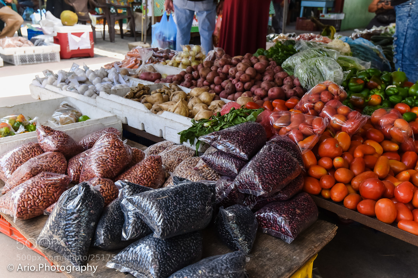 Nikon D810 sample photo. Beautiful belize photography