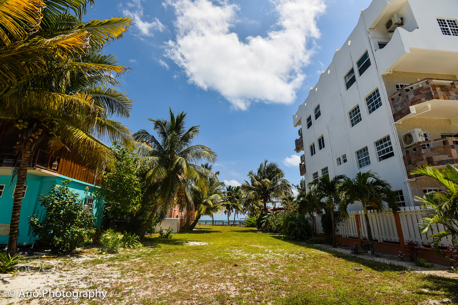 Nikon D810 sample photo. Beautiful belize photography
