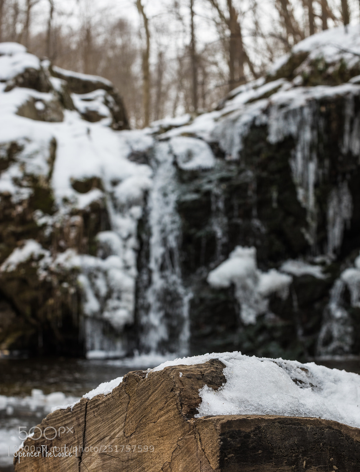 Canon EOS 5D Mark IV sample photo. Snow falls photography