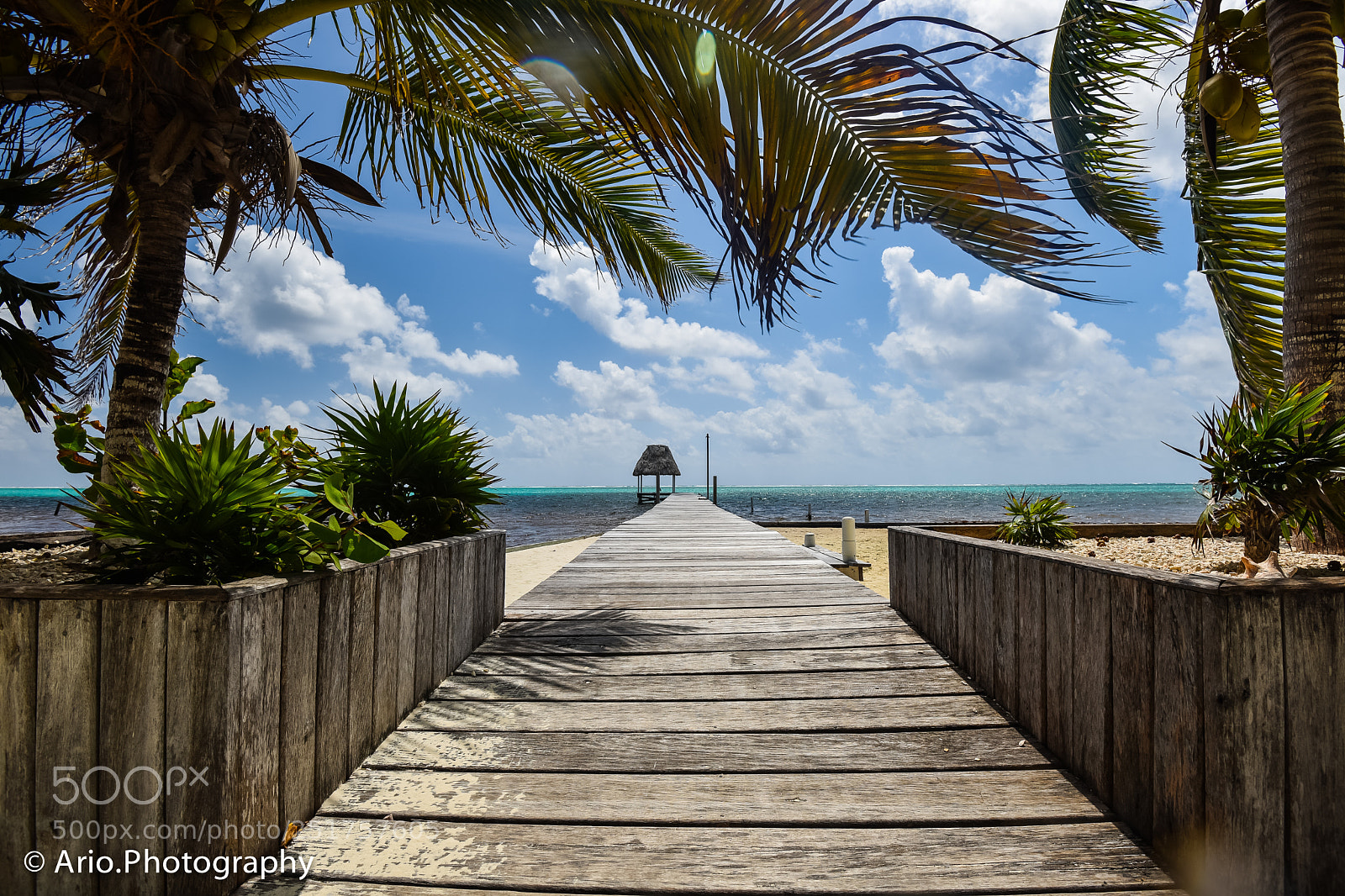 Nikon D810 sample photo. Beautiful belize photography