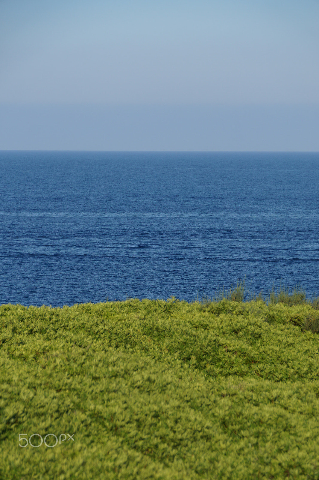 Sony DT 18-250mm F3.5-6.3 sample photo. 3 colores,  3 amores photography