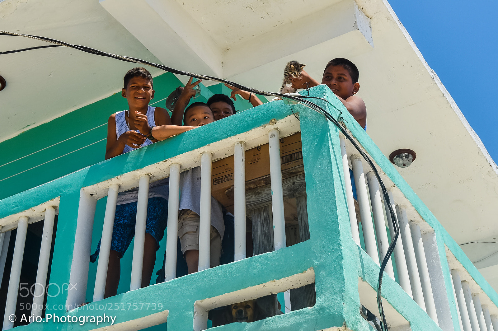 Nikon D810 sample photo. Beautiful belize photography