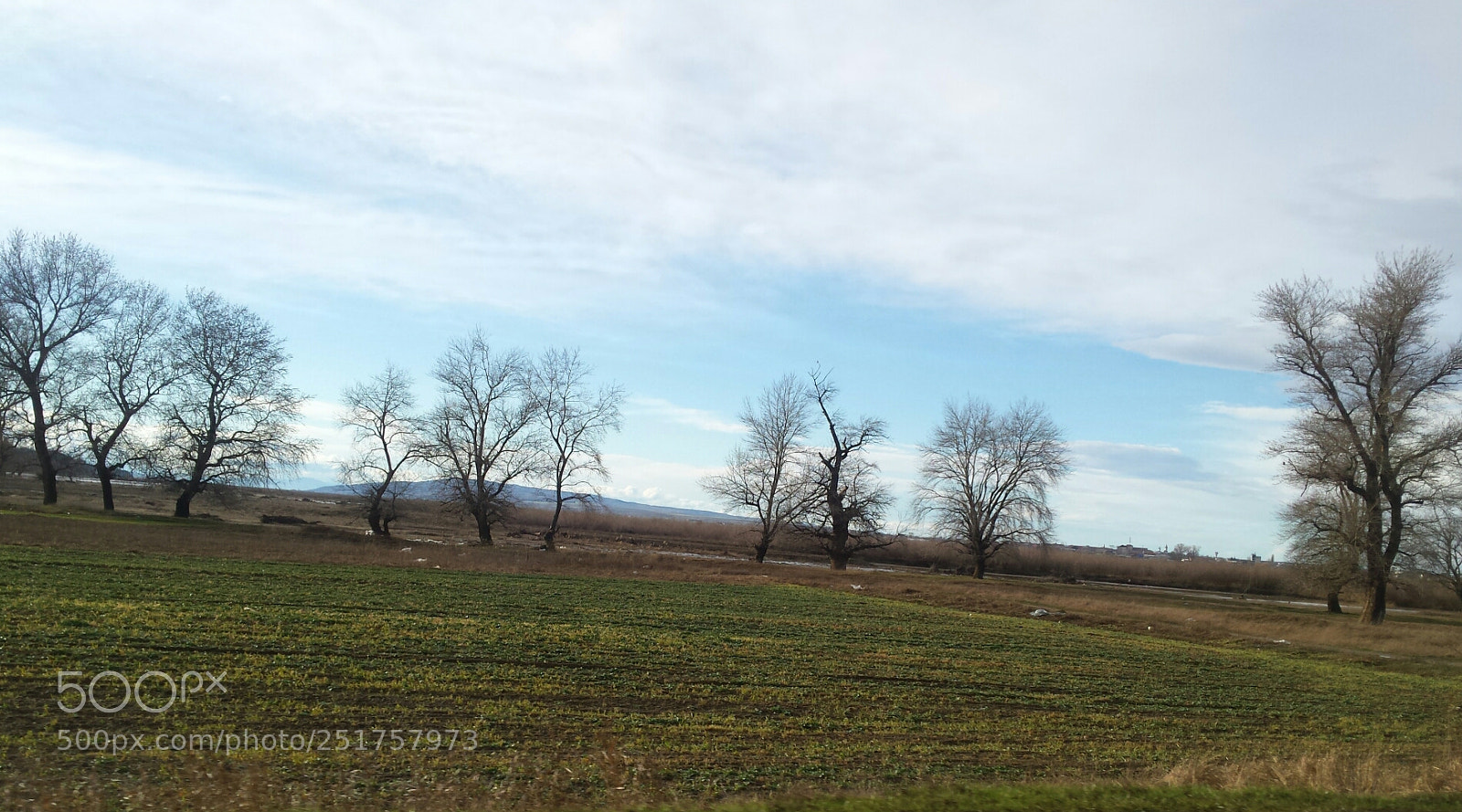 Samsung Galaxy S4 sample photo. Untitled photography