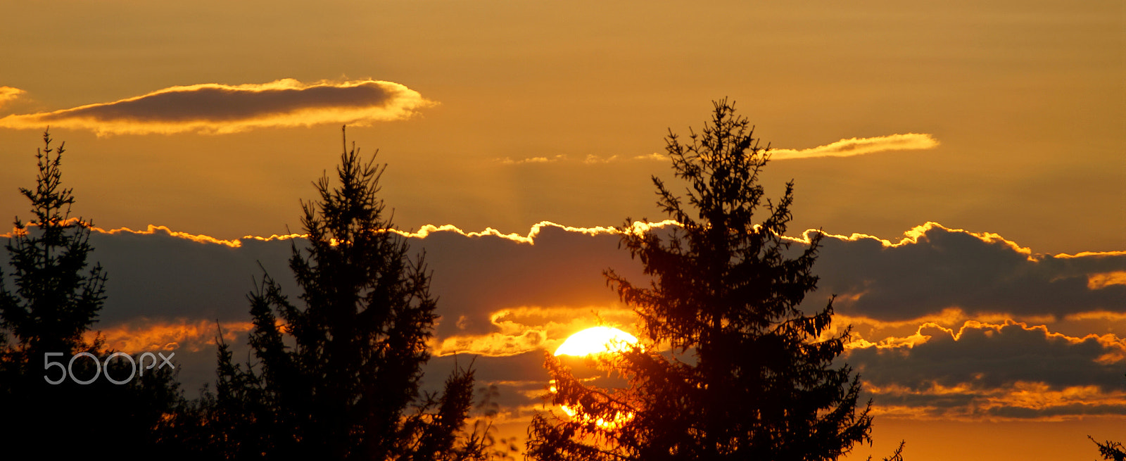Sony DT 18-250mm F3.5-6.3 sample photo. Riaza anochece entre pinos photography