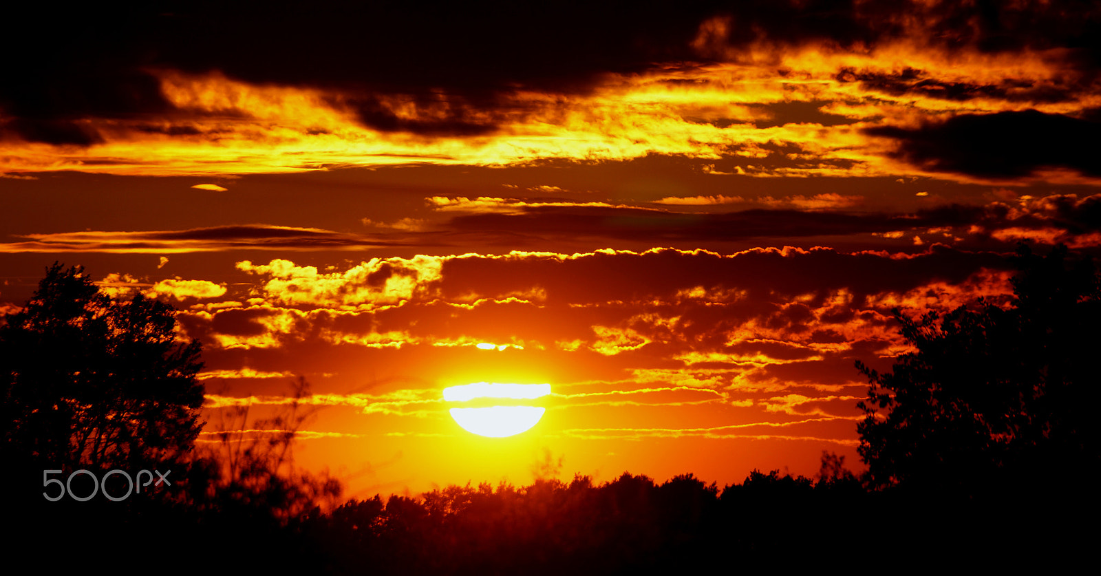 Sony DT 18-250mm F3.5-6.3 sample photo. Sol ardiente photography