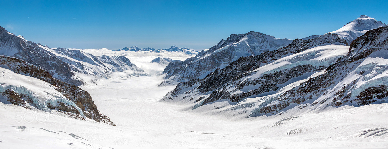 Nikon D850 sample photo. Jungfraujoch photography