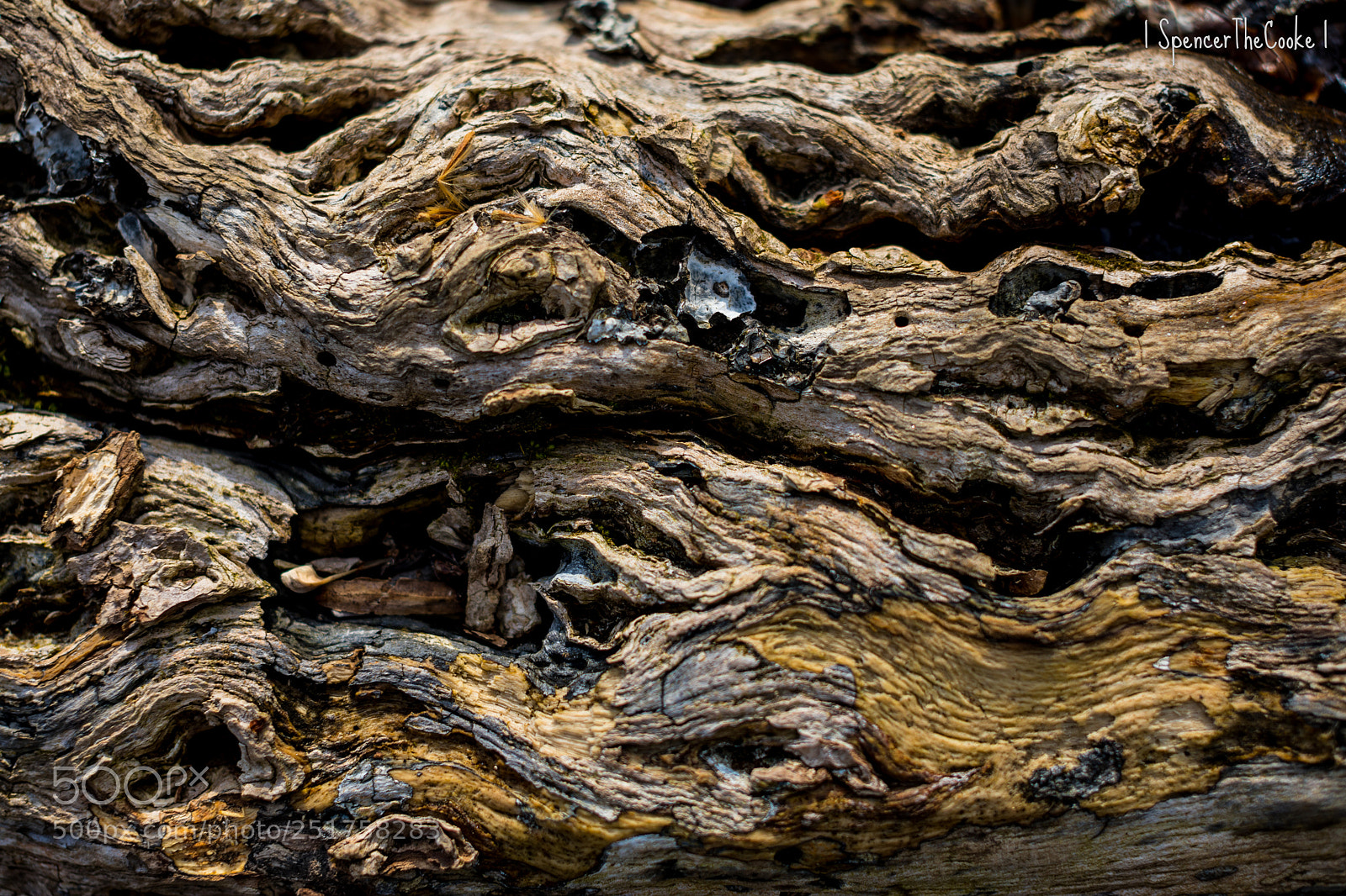 Canon EOS 5D Mark IV sample photo. The beautiful decay photography