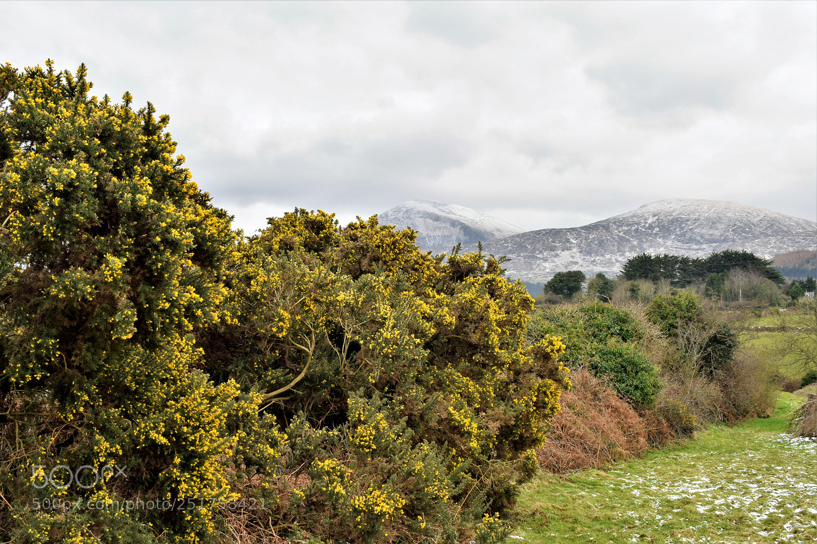 Nikon D5300 sample photo. Spring in mourne mountains photography