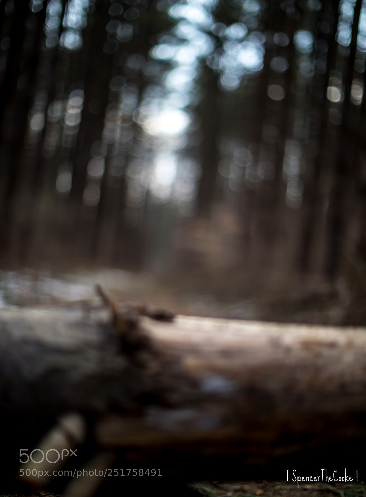 Canon EOS 5D Mark IV sample photo. One last hurdle until photography