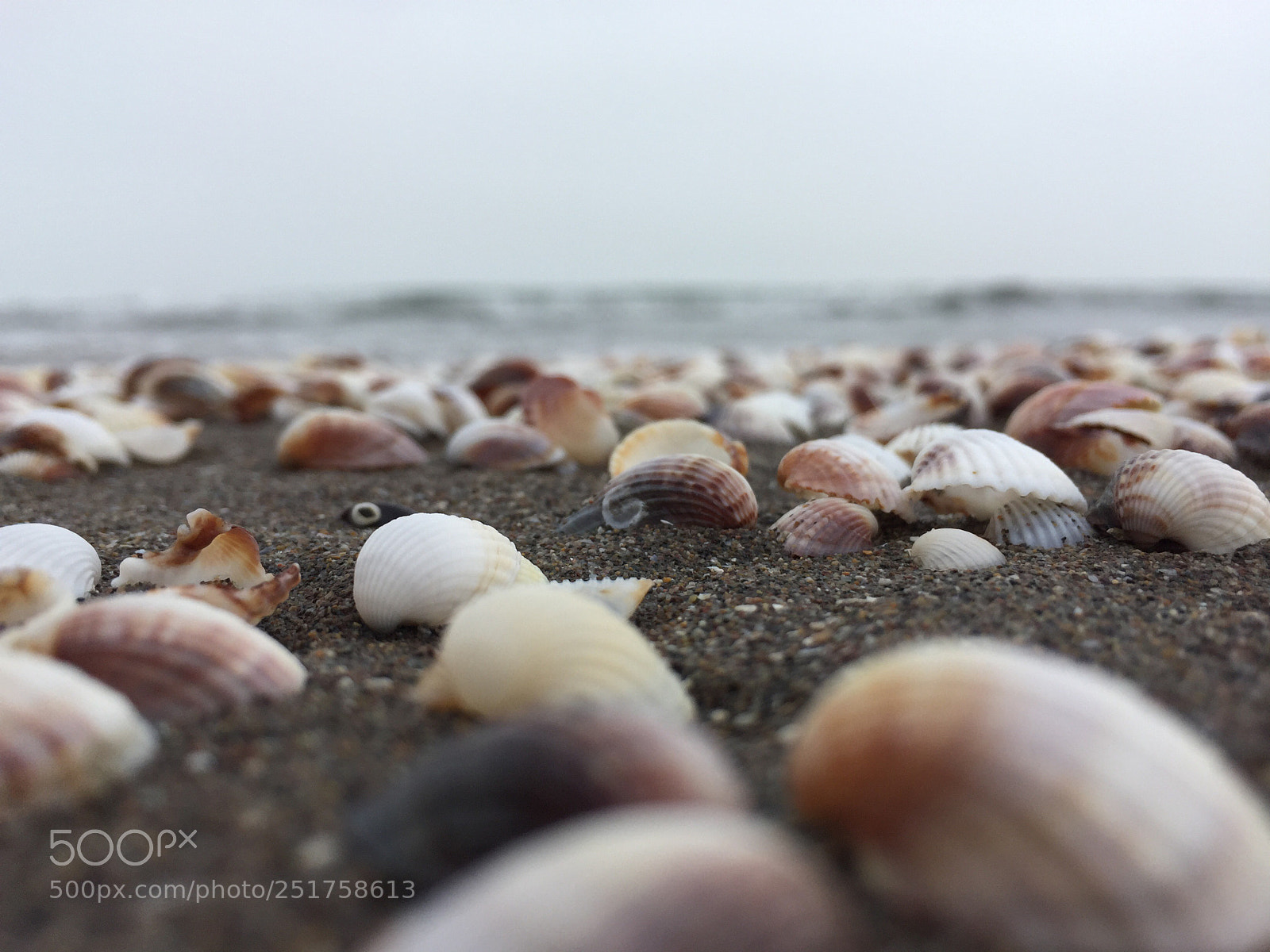 Apple iPhone 6 sample photo. Caspian beach photography