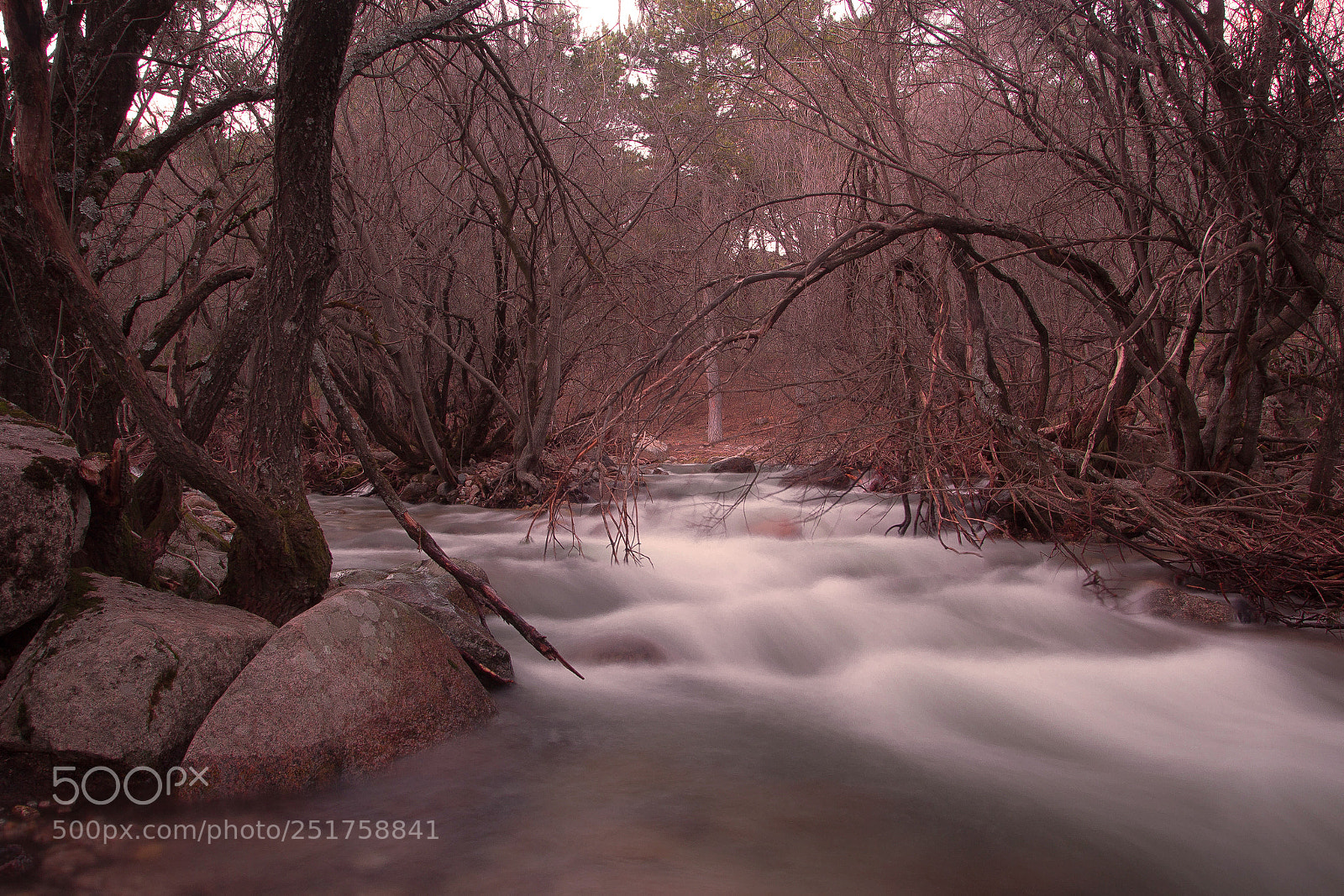 Canon EOS 600D (Rebel EOS T3i / EOS Kiss X5) sample photo. Rio manzanares photography