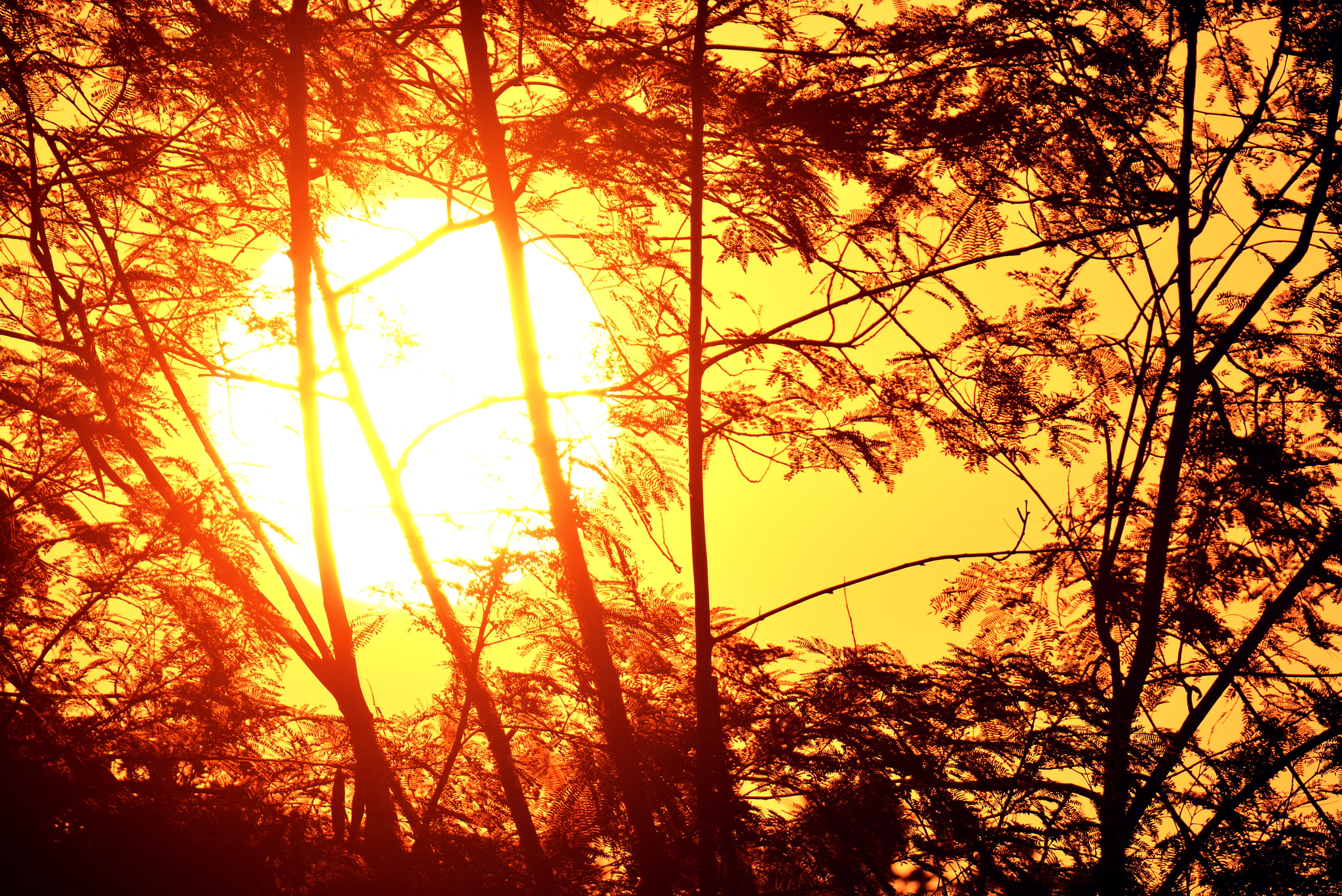 Nikon D5200 sample photo. Sunrise photography