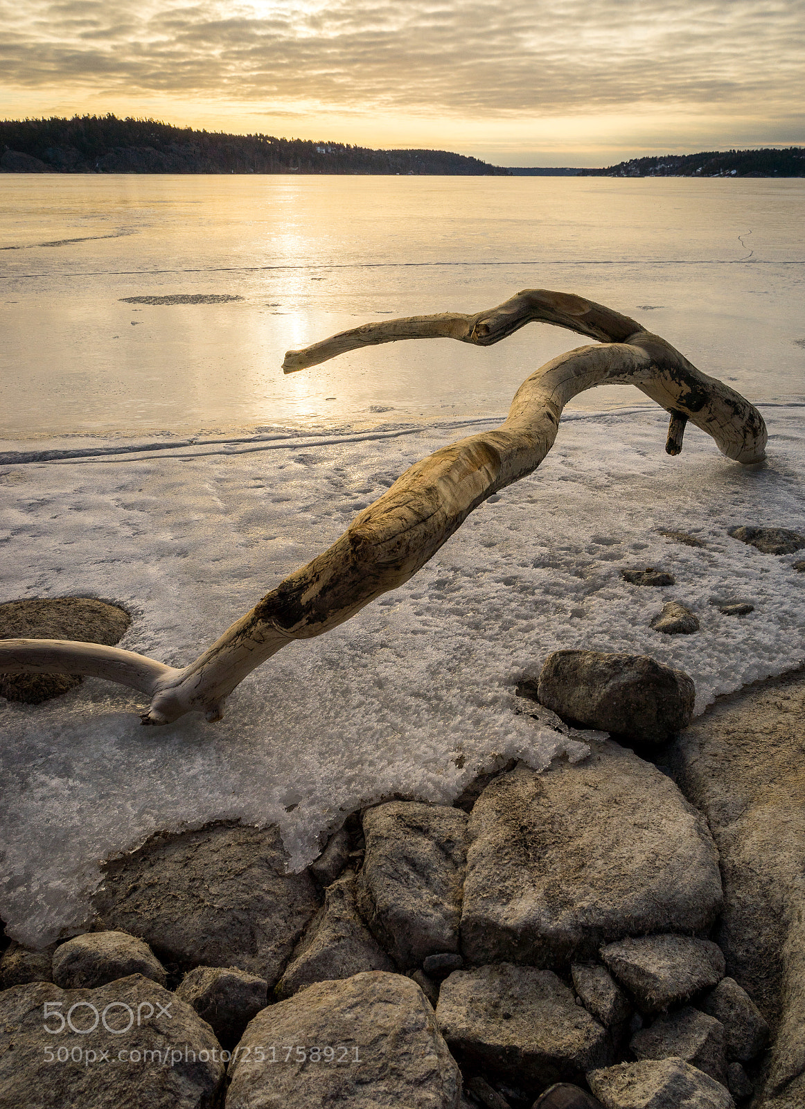 Sony a7 sample photo. Saltsjöbaden morning photography