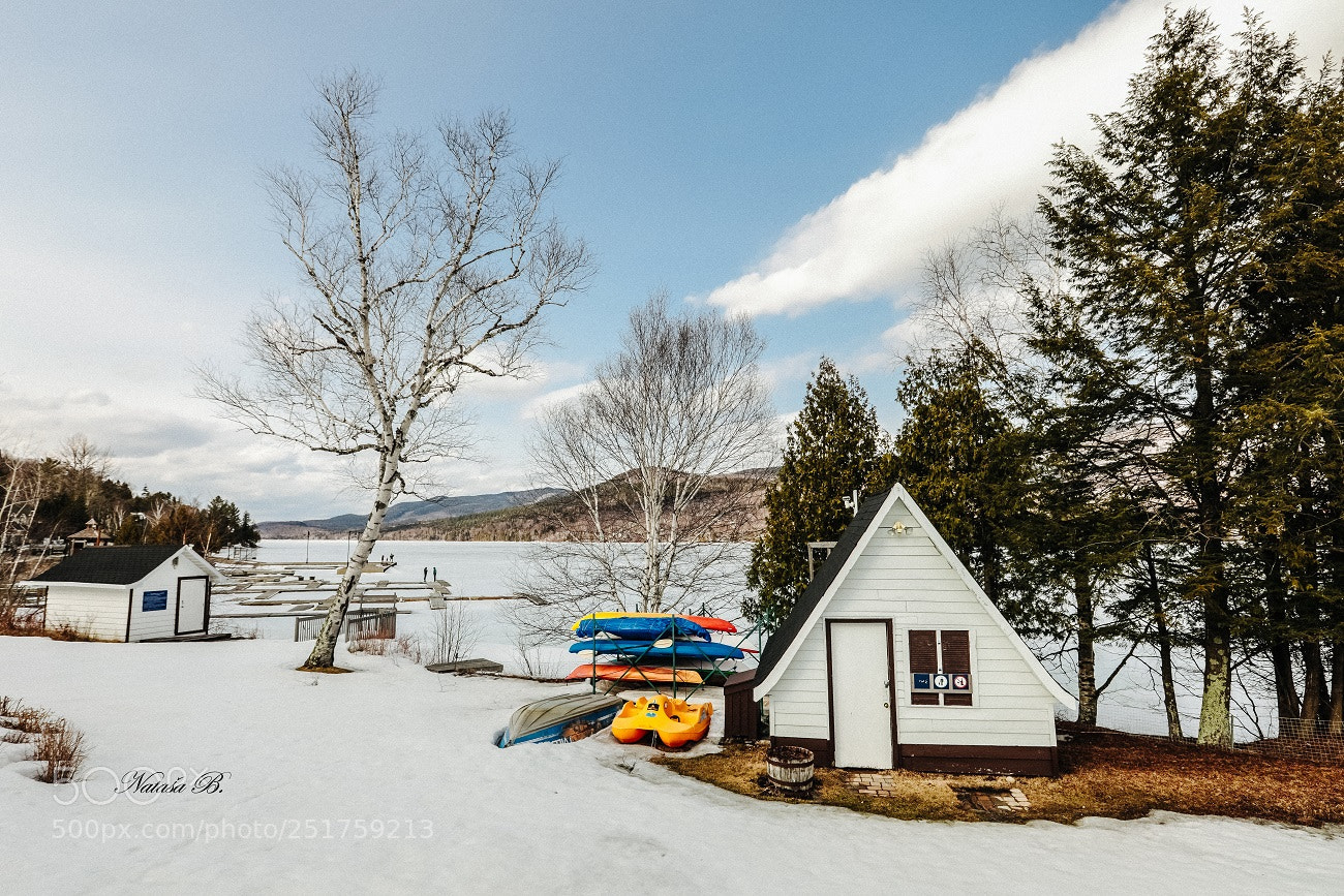 Canon EOS 5D Mark IV sample photo. Still...frozen photography