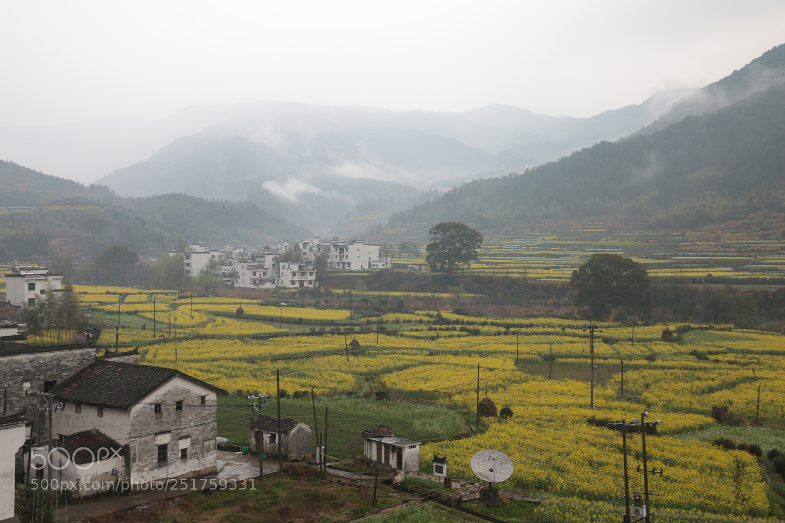 Canon EOS 70D sample photo. Untitled photography