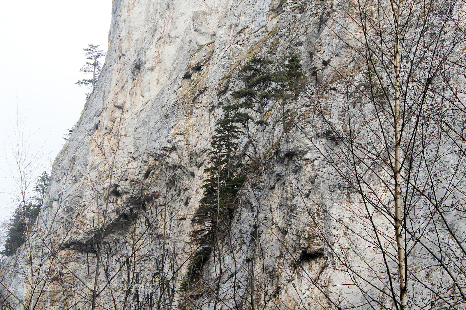 Canon EOS 550D (EOS Rebel T2i / EOS Kiss X4) sample photo. Mountain photography
