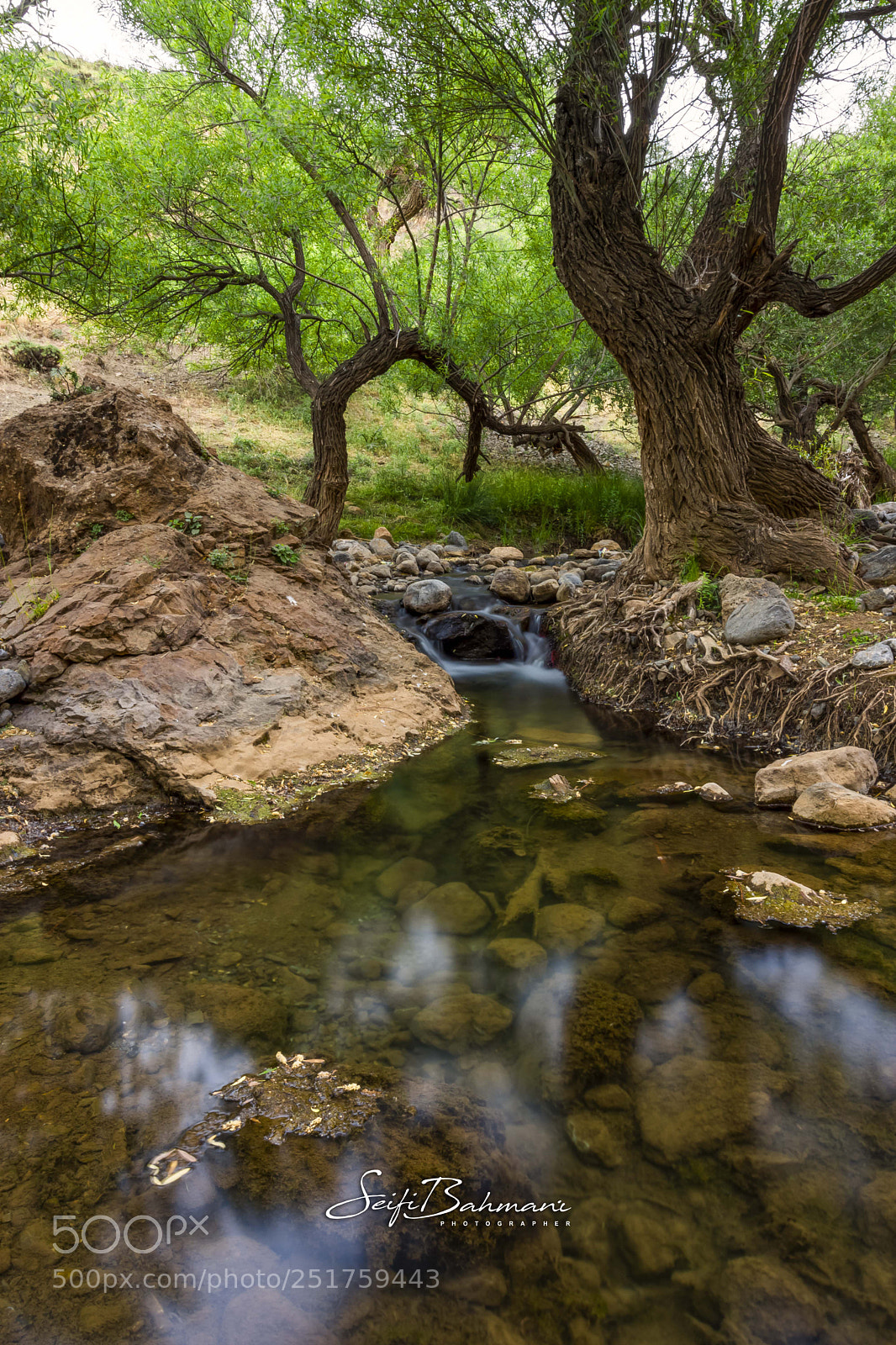 Nikon D7200 sample photo. Untitled photography