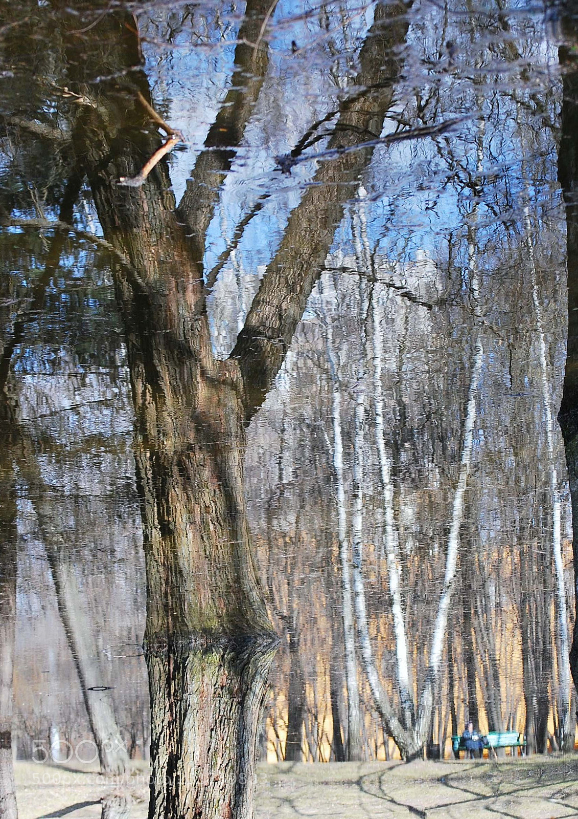 Nikon D60 sample photo. Acedefaorig photography
