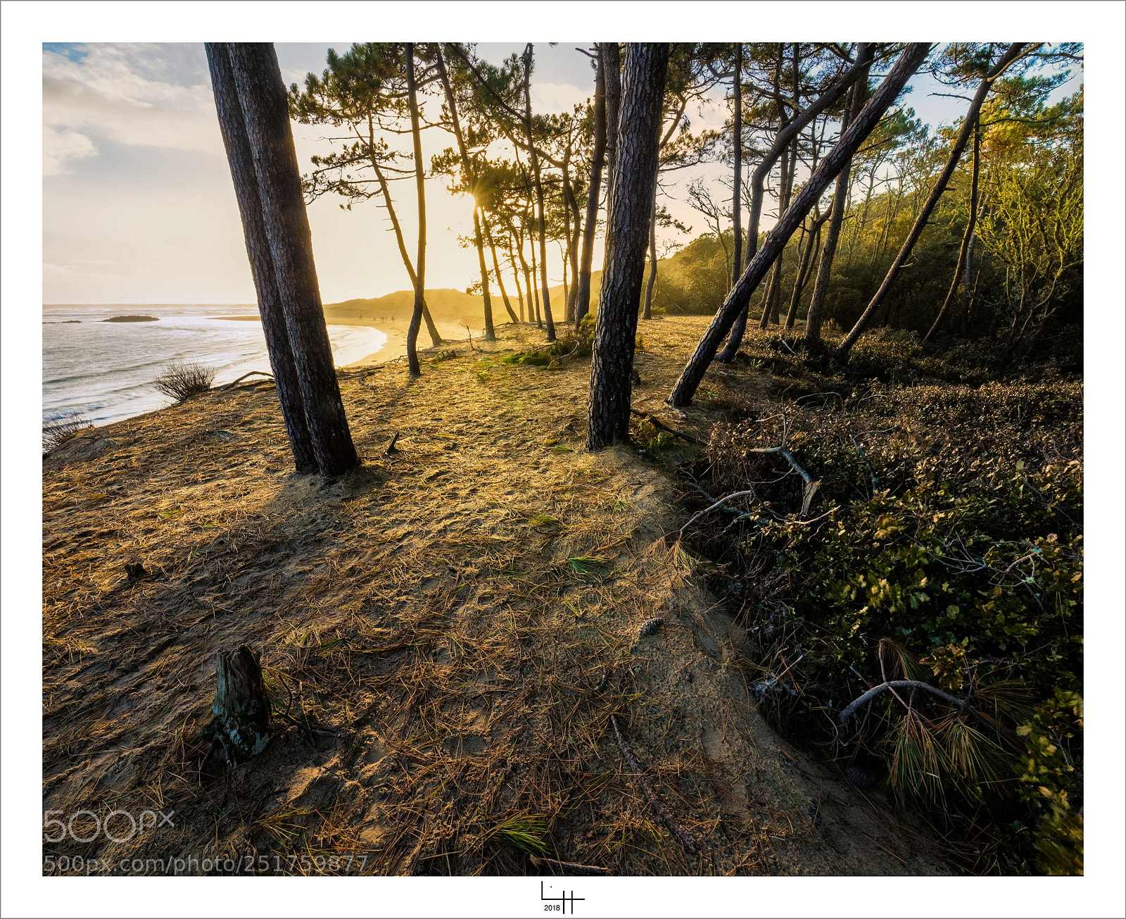 Nikon D850 sample photo. Le veillon - les photography