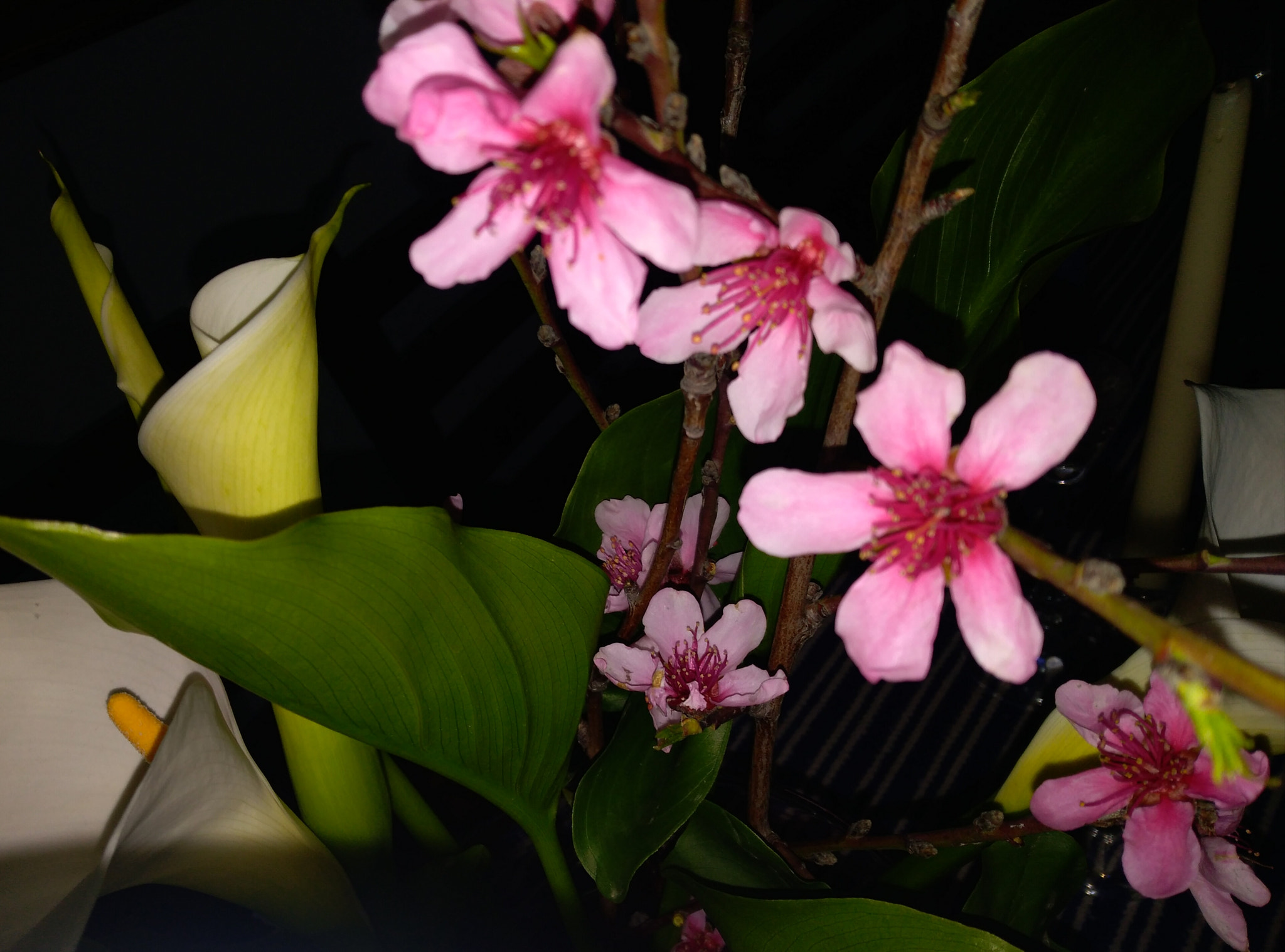 HUAWEI P9 LITE MINI sample photo