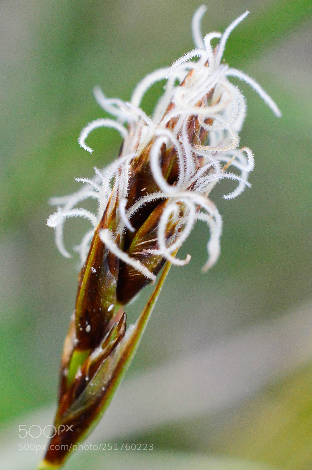Nikon D3200 sample photo. Dsc photography
