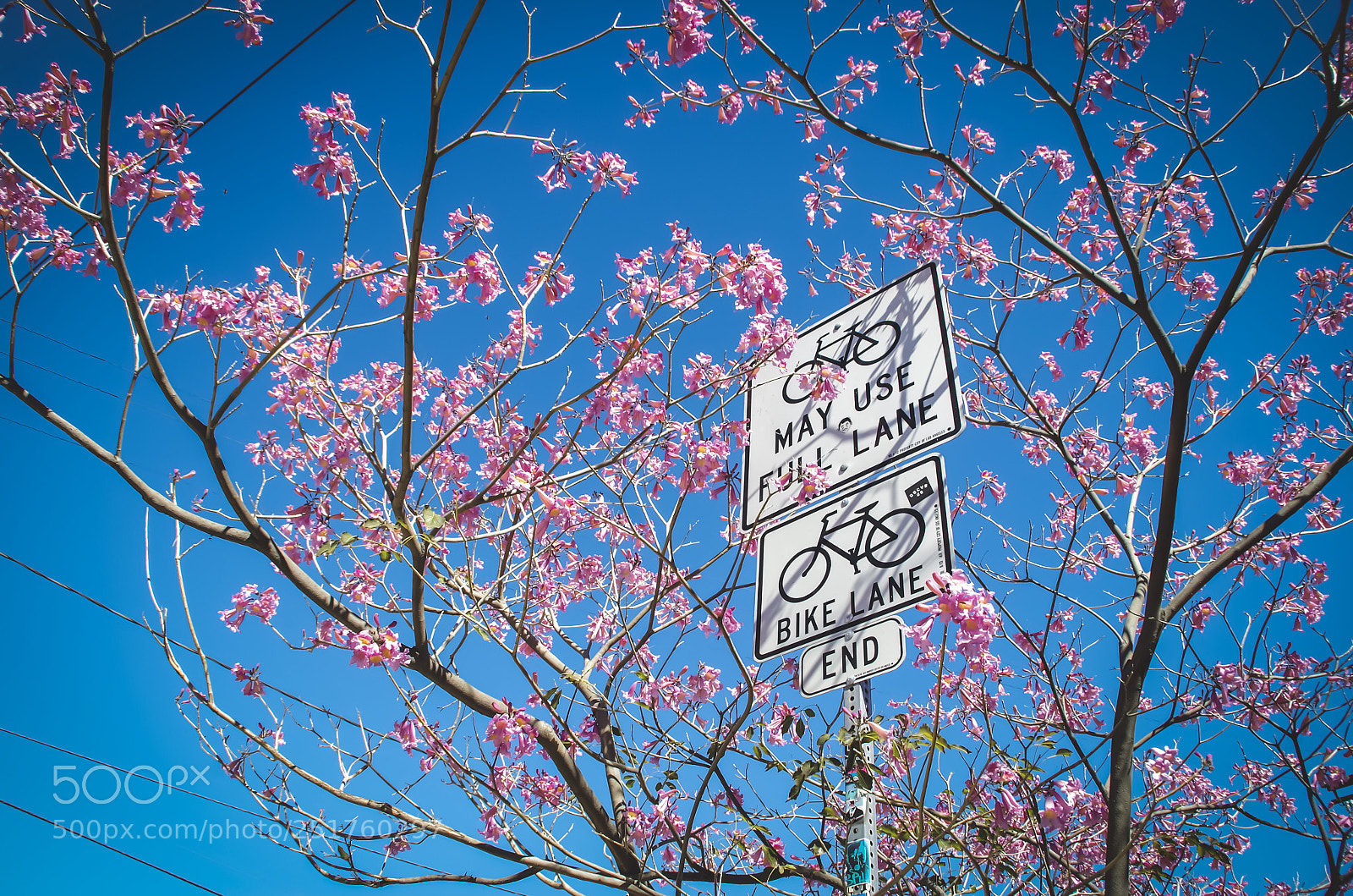 Pentax K-30 sample photo. Untitled photography