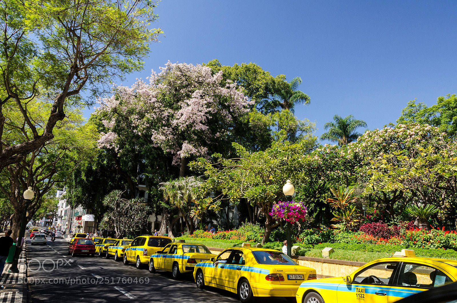 Nikon D7000 sample photo. Taxi photography
