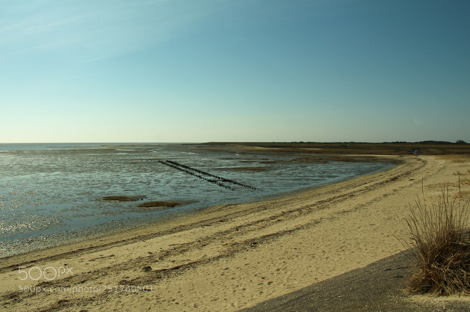 Canon EOS 700D (EOS Rebel T5i / EOS Kiss X7i) sample photo. Sunny day at the photography