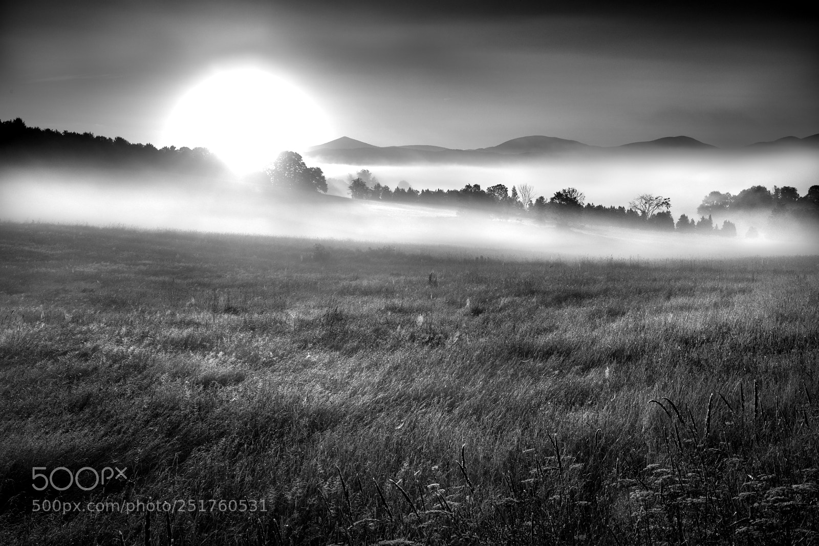 Canon EOS 5D Mark IV sample photo. Field & mountains foggy sunrise photography