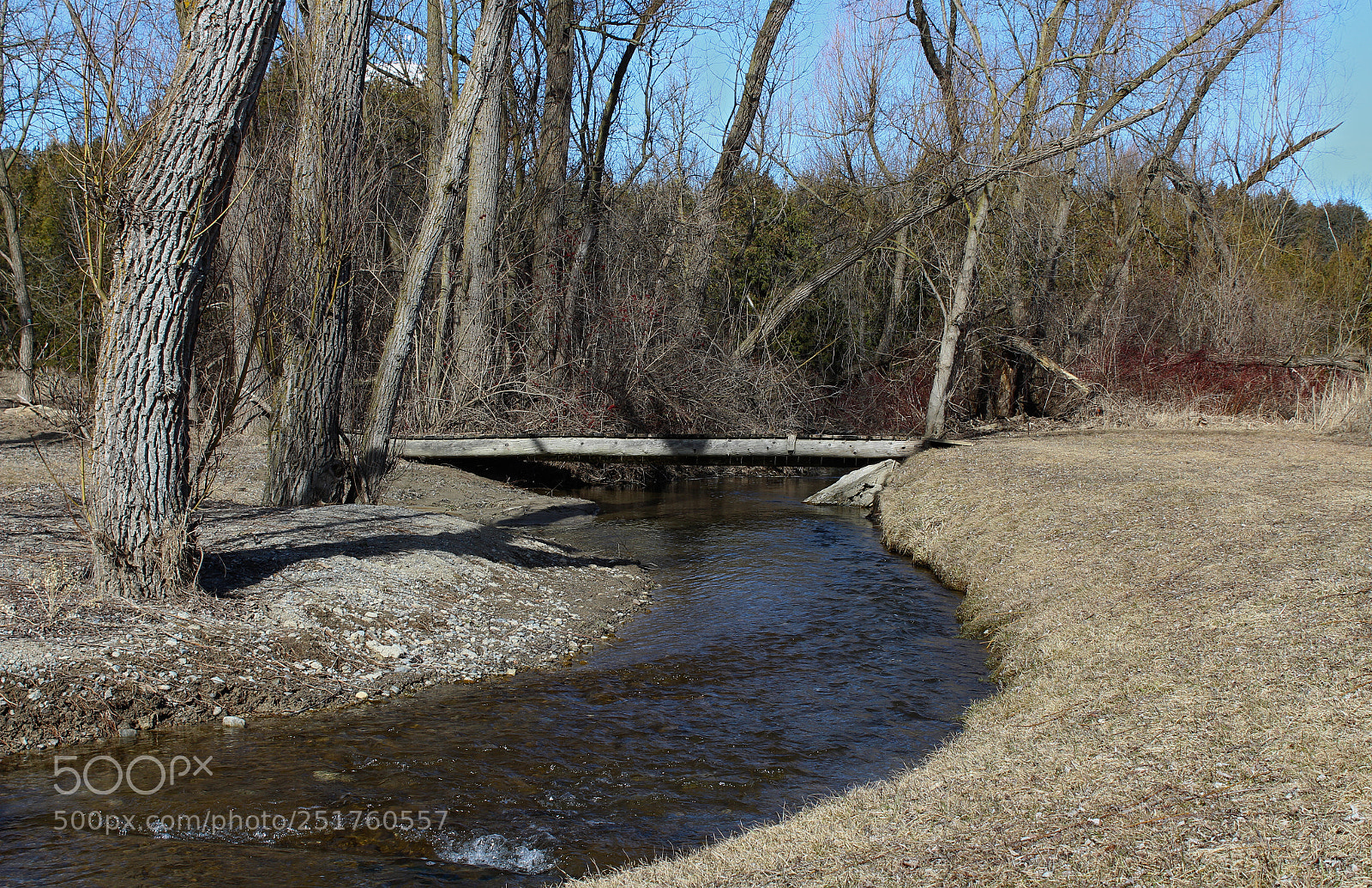Canon EOS 1200D (EOS Rebel T5 / EOS Kiss X70 / EOS Hi) sample photo. Spring creek photography