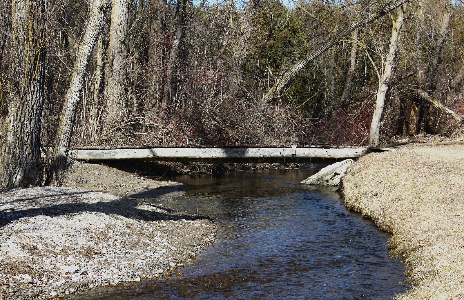 Canon EOS 1200D (EOS Rebel T5 / EOS Kiss X70 / EOS Hi) sample photo. Spring creek photography