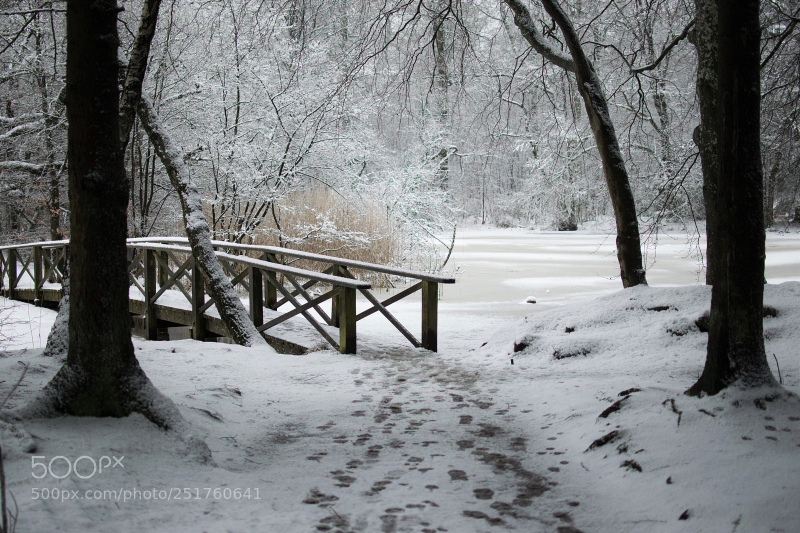 Nikon D3300 sample photo. Please send me spring... photography