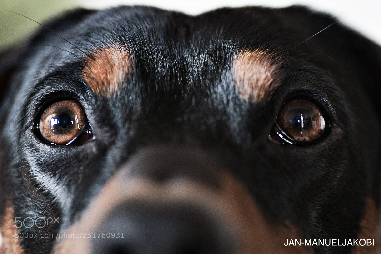 Nikon D800 sample photo. Attention please photography
